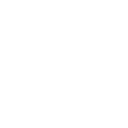 LRG Capital